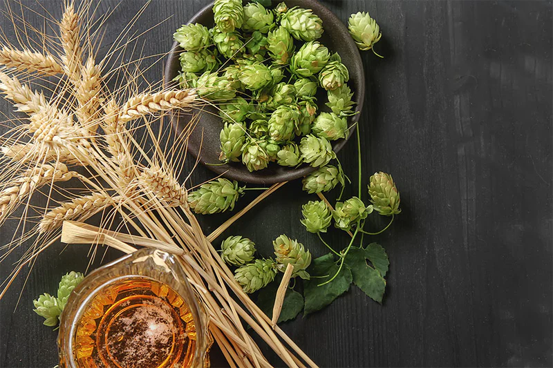 Master Your Craft with KegLand